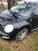 New Beetle - 8