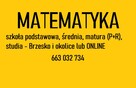 Korepetycje matematyka - szkoła, e8, matura, studia, mgr UJ - 3