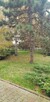 ul. Wielicka dwa pokoje, salon z jadalnią i kuchnią, balkon! - 11