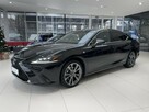 Lexus ES300 F Sport, Kamera, salon PL, 1 wł, dostawa, FV23, Gwarancja - 1