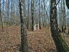 Działka rolna Szufnarowa gm. Wiśniowa - 2