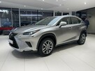 Lexus NX 300h Kamera cofania, CarPlay salon PL, navi, FV-23%, gwarancja, 1wł - 1