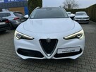 Alfa Romeo Stelvio 2.0T Q4 - 9