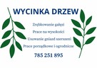 Wycinka drzew -wywrotka- koparka - 2