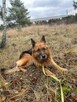 Piękny proludzki staruszek BŁAGA o kochający dom - 2