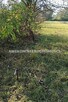 Działka budowlana Jaktorów Budy-Grzybek - 3