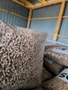 Pellet/Opał/Tanio - 2