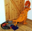 Hot Wheels T-Rex ogromny tor samochodowy tyranozaur Hot Whee - 2