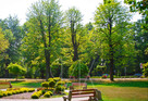 działka budowlana Szczawno - Zdrój - 4