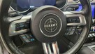 Ford Mustang - 14