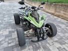Quad Jinling 250 - 7