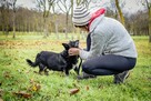 Gustaw-malutki niewidomy piesek prosi o dom-adoptuj - 6