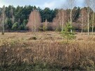 Wilga (Malinówka) - działka z warunkami zabudowy - 5