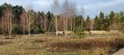 Wilga (Malinówka) - działka z warunkami zabudowy - 6