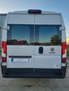 Fiat Ducato 2,3 Multijet Maxi 150 KM L4 H2 - 7