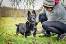 Gustaw-malutki niewidomy piesek prosi o dom-adoptuj - 2