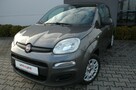 Fiat Panda Lpg fabryczny, - 2