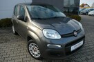 Fiat Panda Lpg fabryczny, - 15