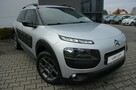 Citroen C4 Cactus Pierwsza-rej 2017 - 9