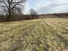 Działka wielofunkcyjna 0.87 ha w Kazimierzu Dolnym - 8