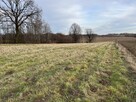 Działka wielofunkcyjna 0.87 ha w Kazimierzu Dolnym - 9