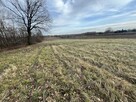 Działka wielofunkcyjna 0.87 ha w Kazimierzu Dolnym - 10