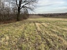 Działka wielofunkcyjna 0.87 ha w Kazimierzu Dolnym - 11