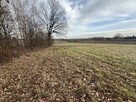 Działka wielofunkcyjna 0.87 ha w Kazimierzu Dolnym - 12