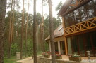 Alpinistyczna Wycinka Drzew w miejscach trudno dostępnych - 6