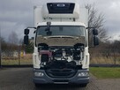 DAF 16T LF 230 WINDA CHŁODNIA 16EP 6,58x2,48x2,38 KLIMA IZOTERMA  MROŹNIA AGREGAT CARRIER - 14