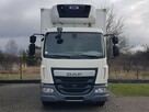 DAF 16T LF 230 WINDA CHŁODNIA 16EP 6,58x2,48x2,38 KLIMA IZOTERMA  MROŹNIA AGREGAT CARRIER - 15