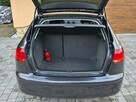 Audi A3 2007r, 1.9TDI 105KM, Org. Lakier, Nowy Rozrząd, Nowy Dwumas - 8