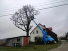 Wycinka i Pielęgnacja drzew. Podnośnik Koszowy! Rębak! - 4