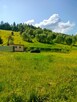 Działka na sprzedaż Muszyna (Milik) - 2
