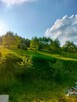 Działka na sprzedaż Muszyna (Milik) - 8