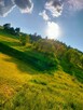 Działka na sprzedaż Muszyna (Milik) - 4