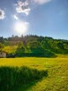 Działka na sprzedaż Muszyna (Milik) - 9