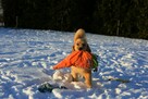GOLDEN RETRIEVER-szczeniaki 100% linia amerykańska, ,ZKwP/FC - 13