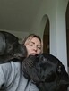 Cane Corso szczenięta - 12