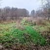 Działka budowlana siedliskowa - 6