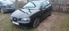 Seat Ibiza - 2