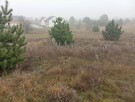 Sprzedam działkę Słubice - 4