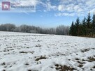 Działka rolno-budowlana Tłuczań gm. Brzeźnica - 7