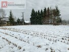 Działka rolno-budowlana Tłuczań gm. Brzeźnica - 8