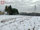 Działka rolno-budowlana Tłuczań gm. Brzeźnica - 10