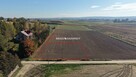 Działka budowlana Sieciechowice gm. Iwanowice - 5