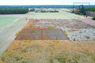 Działki letniskowe - 1 km od jeziora, 2 km od rzeki - 7