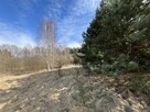 Działka o pow. 2,08 ha w m. Kawęczyn gm. Ciepielów - 13