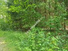 Działka 5000 m² Piotrkowice - 3