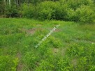 Działka 5000 m² Piotrkowice - 4